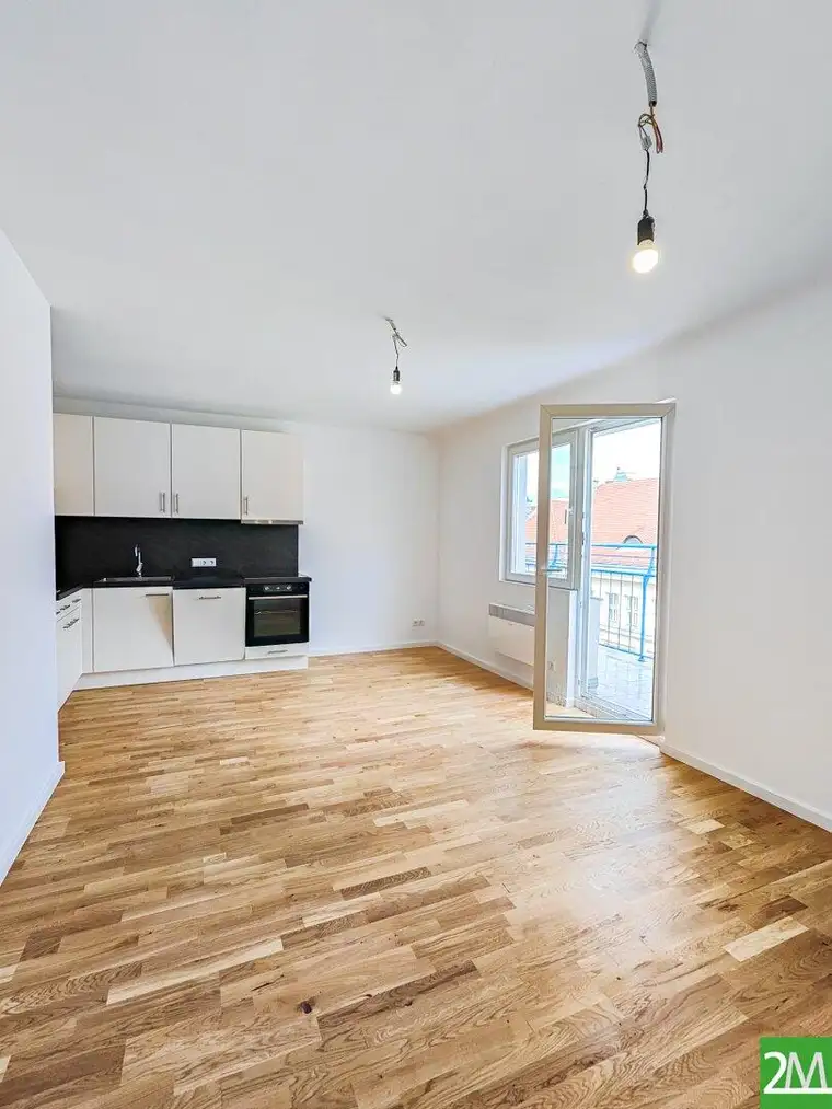 Erstbezug nach Generalsanierung: Schöne 3-Zimmer-Dachgeschoßwohnung mit Terrasse nahe Schottentor