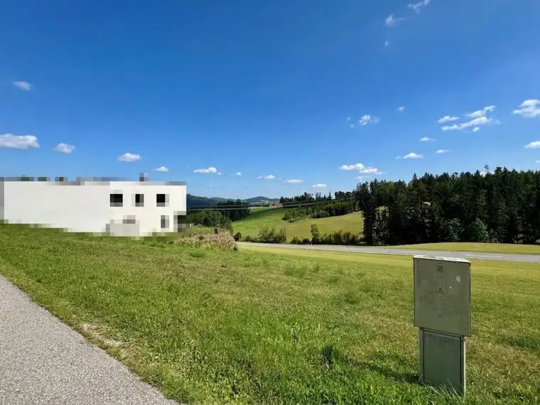Sonniges Baugrundstück in der Nähe von Freistadt II ohne Bauzwang II mit Fernblick