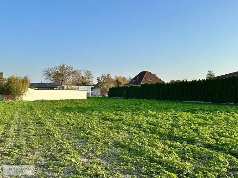 TOLLE GRÖSSE UND BEBAUBARKEIT /// Baugrundstück mit perfekter Infrastruktur nahe Schlosspark