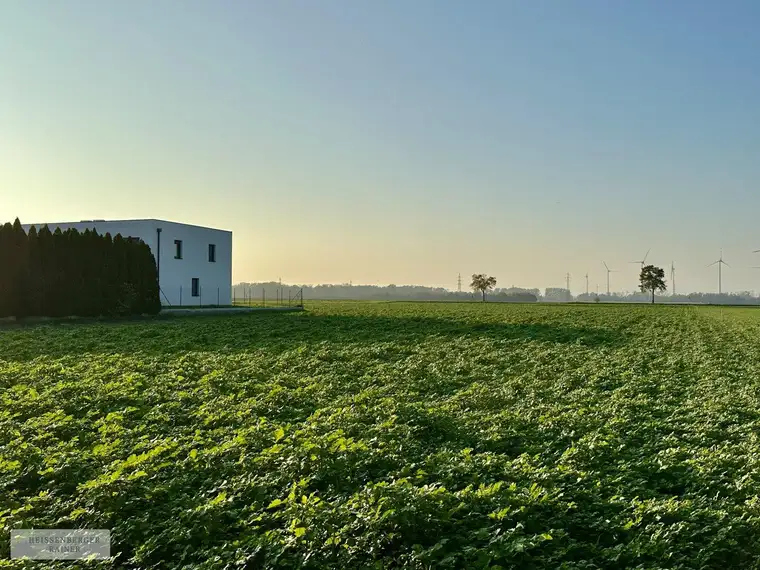 VOLLE FLEXIBILITÄT, ABENDSONNE, PRIVATSTRASSE /// zwei Baugrundstücke mit perfekter Infrastruktur