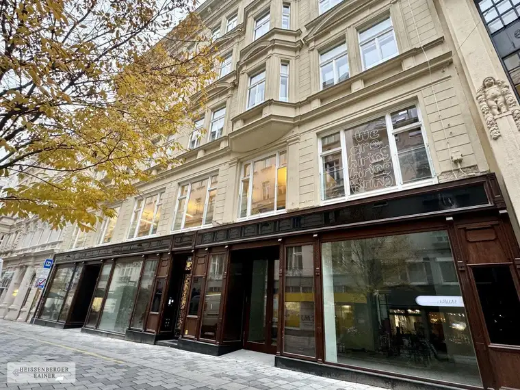 ERSTBEZUG /// LOFT BÜRO IM STILALTBAU