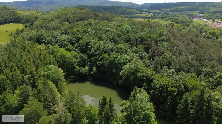 PRIVATE RETREAT NUR 30 MINUTEN VON DER OPER /// MIT EIGENEM PARK, WALD UND BADESEE
