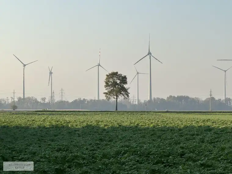 SONNIG, PRIVAT, PERFEKT AUFGETEILT /// Baugrundstück mit perfekter Infrastruktur nahe Schlosspark