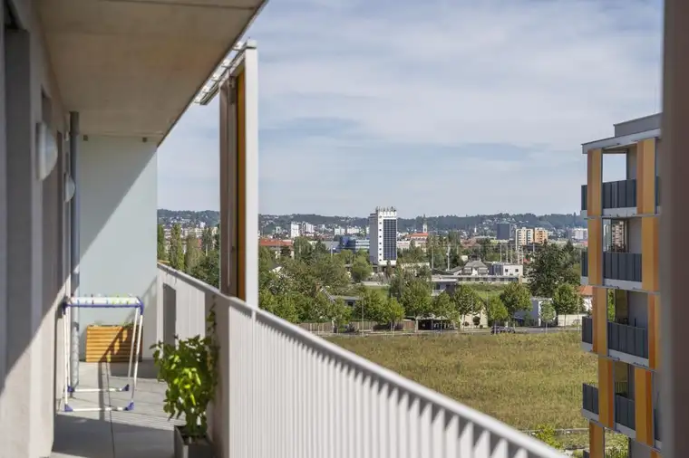 Eva Bretterklieber, Immobilien & Co