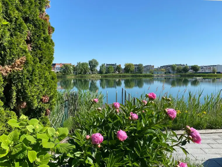 Modernes Wohnen direkt am Wasser an d. Wr. Stadtgrenze