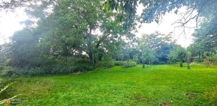 Quadratisches Baugrundstück in absoluter Ruhelage, Herrlicher Altbaumbestand