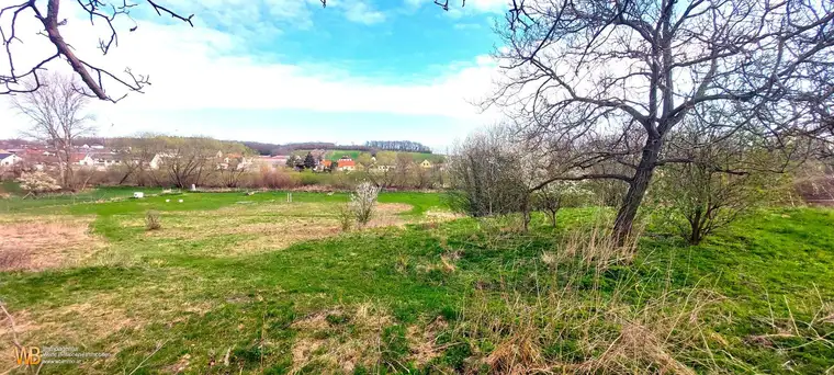 Baugrundstück 7300m² Bezirk Neusiedl