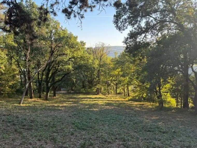 Exklusives Baugrundstück am Ölberg in Klosterneuburg – sonnige Hanglage mit spektakulärem Fernblick und altem Baumbestand