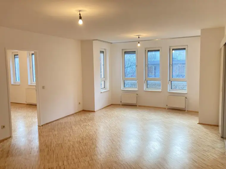 Florian Prammer, ViennaEstate Makler GmbH