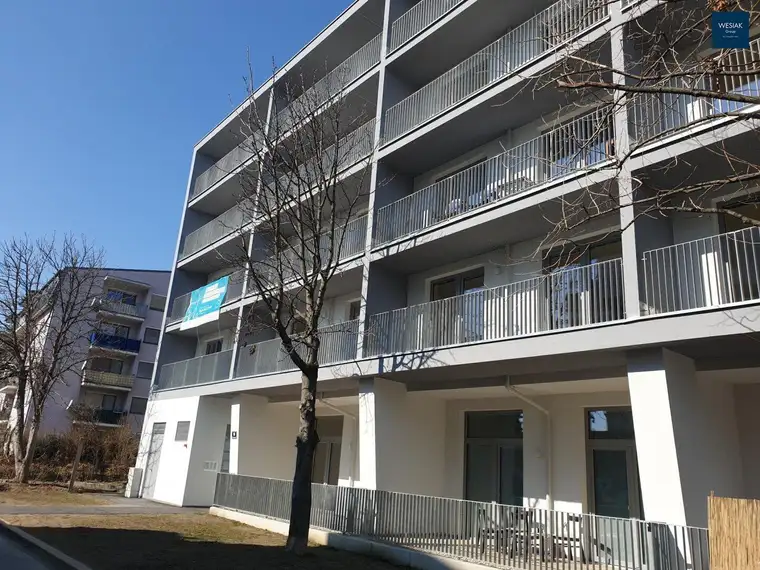 Niesenbergergasse 16 Top 53 - Traumhafte 2-Zimmer-Wohnung mit Balkon: Hochwertige Ausstattung für höchsten Wohnkomfort