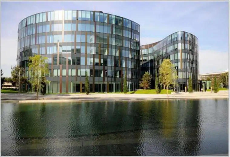 Harald Rank, Spiegelfeld Immobilien GmbH