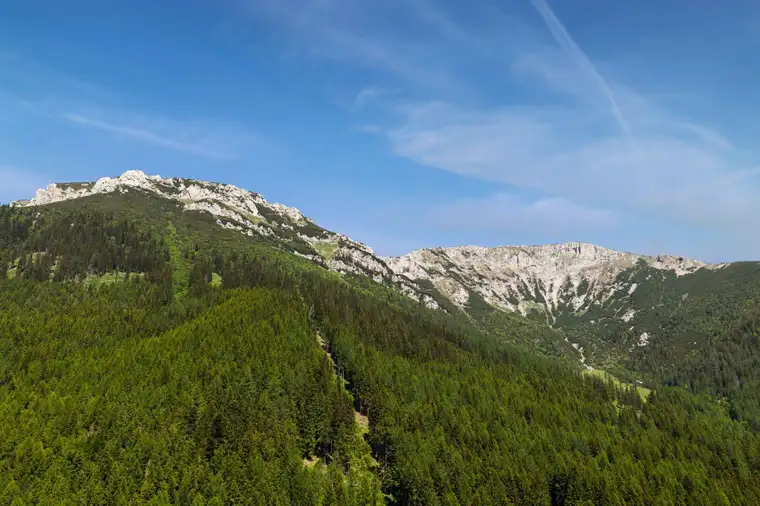 Ein schönes Stück Bergwald auf der Rax