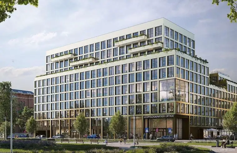 Harald Rank, Spiegelfeld Immobilien GmbH