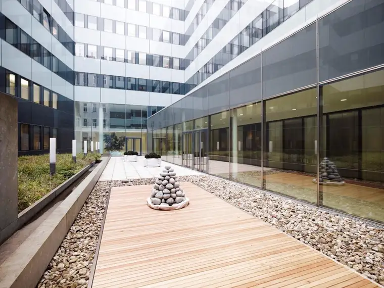 Harald Rank, Spiegelfeld Immobilien GmbH