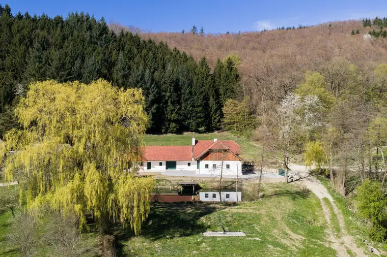 Forsthaus im Dunkelsteiner Wald