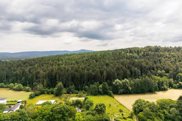 Waldgut "Auf der Schleinz"