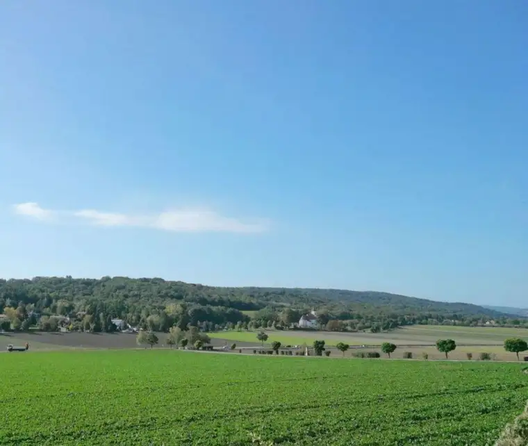 Grundstück mit unverbaubaren Fernblick