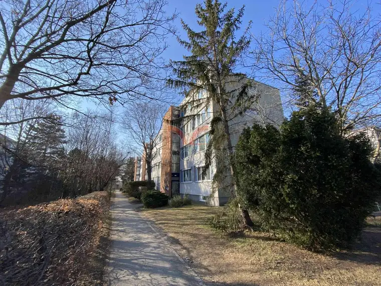 Sehr gepflegte 3-Zimmerwohnung im Erdgeschoß in Grünruhelage!