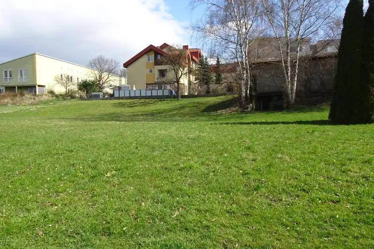 Sonniges Baugrundstück mit Naturanbindung in St.Georgen/Gusen