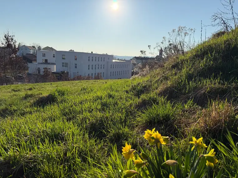 Attraktives Baugrundstück mit Fern- und Zentrumsblick in Schwertberg