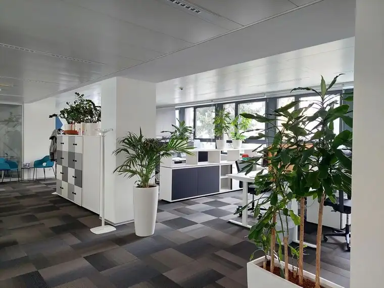 Innenstadt - moderne Gewerbe - Bürofläche