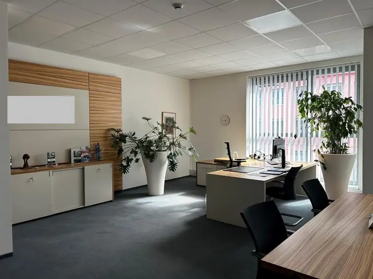Bürofläche in Graz Eggenberg