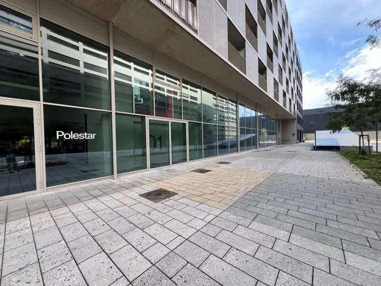 Geschäftsfläche - Showroom - Erstbezug