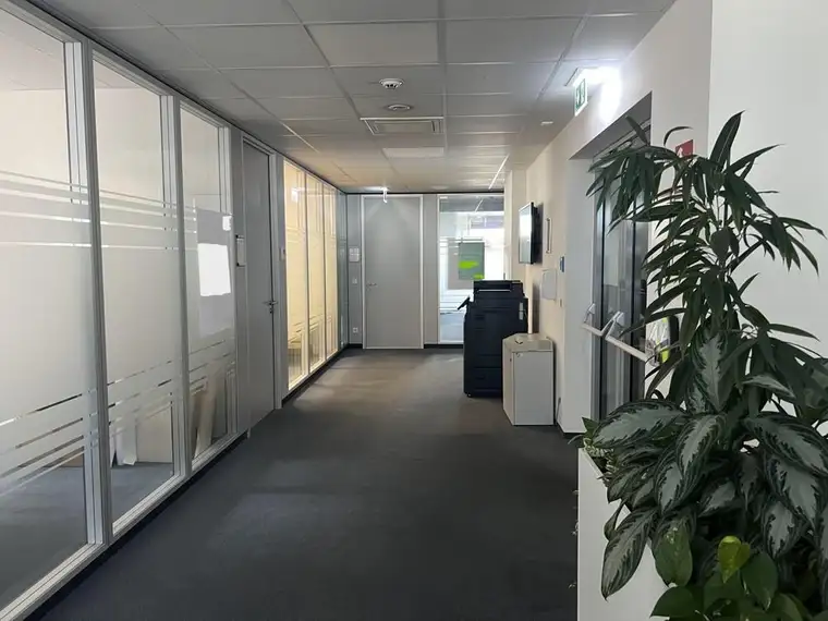 Moderne Büros mit Dachterrasse und bestem Blick