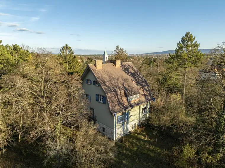 Rarität! Histroische Jahrhundertwende-Villa mit Privatpark und Wald | Blick in alle Himmelsrichtungen | Lichtdurchflutet
