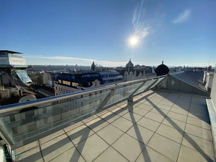 GROSSZÜGIGE DACHTERRASSENMIETE