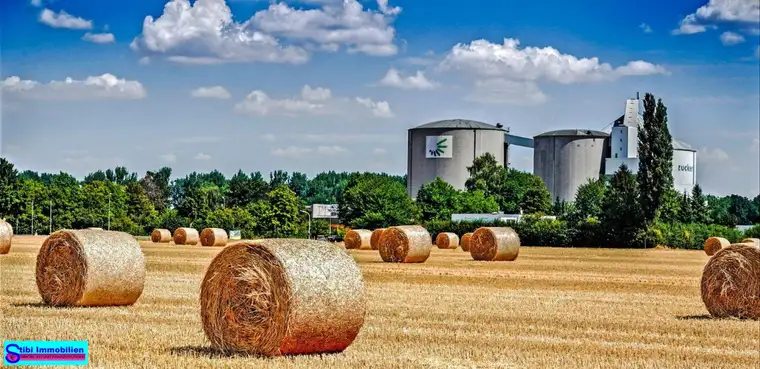 27.637m² Landwirtschaftliche Grundstück im Industriegebiet sowie Hofnungsland €29/m²