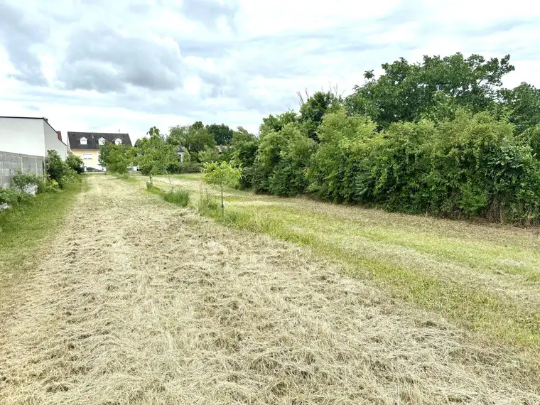 Baugrundstück mit Grünfläche in Tadten in Ruhelage