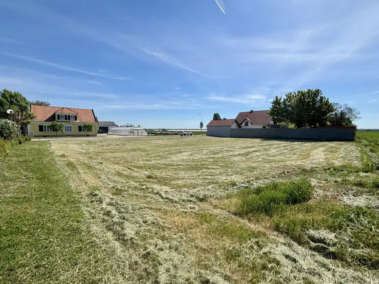Zwei nebeneinanderliegende Baugrundstücke in Tadten - 703 u. 705 m2