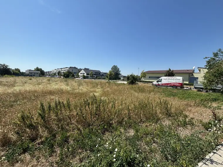 Großzügige Baugrundstücke in Neusiedl am See * Bauträgereignung