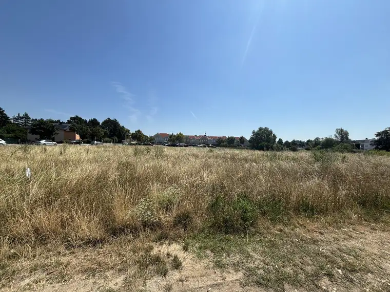 Ruhig &amp; zentral: Baugrundstück mit Erweiterungsmöglichkeit in Neusiedl am See