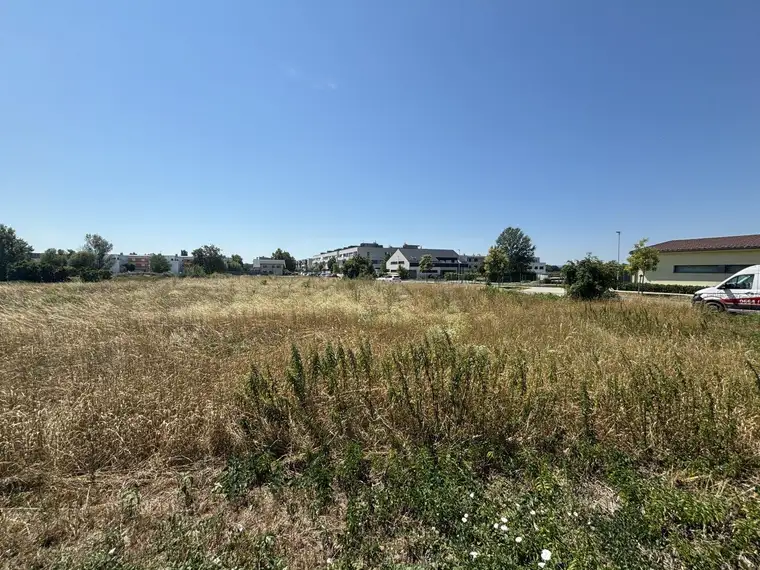 Eckgrundstück in Neusiedl am See – ca. 758 m²