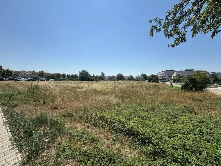 Baugrundstück in Neusiedl am See – ca. 663 m² - ruhig &amp; zentral
