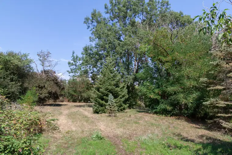 Großes Baugrundstück in Nickelsdorf