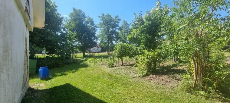 Grundstück mit Geschichte – 4.369 m² mit Altbestand für Ihre Visionen in 2051 Platt