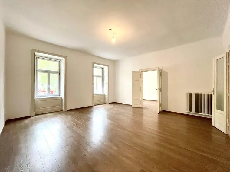 Große Altbauwohnung in Toplage auf der Praterstraße