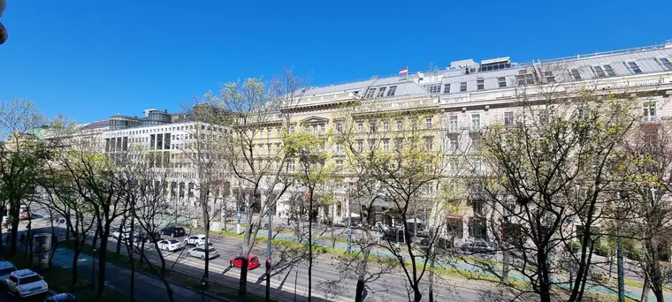 Ferdinand Stubenvoll, Stubenvoll Immobilien