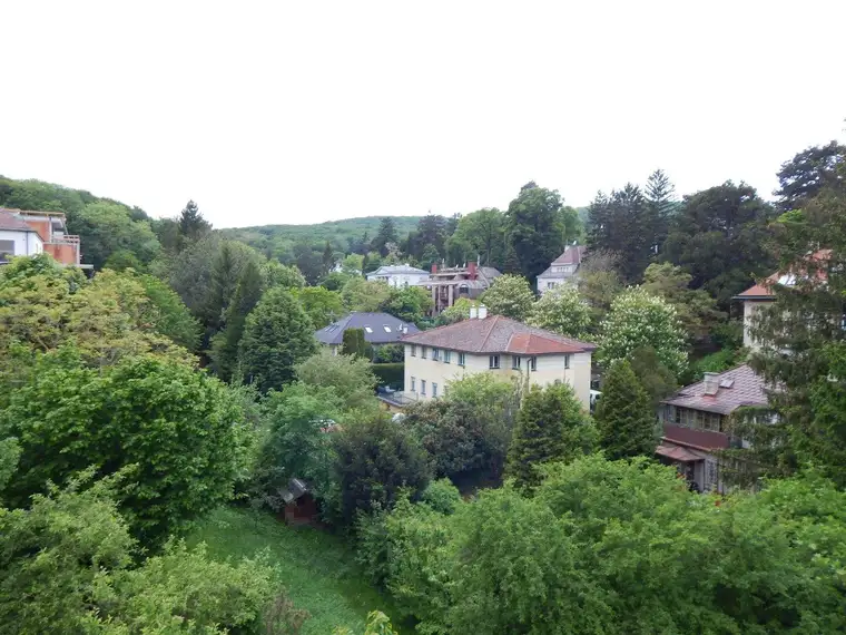 Ferdinand Stubenvoll, Stubenvoll Immobilien