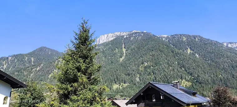 Sonniges Grundstück mit Altbestand in ruhiger Bestlage nahe dem Ortszentrum