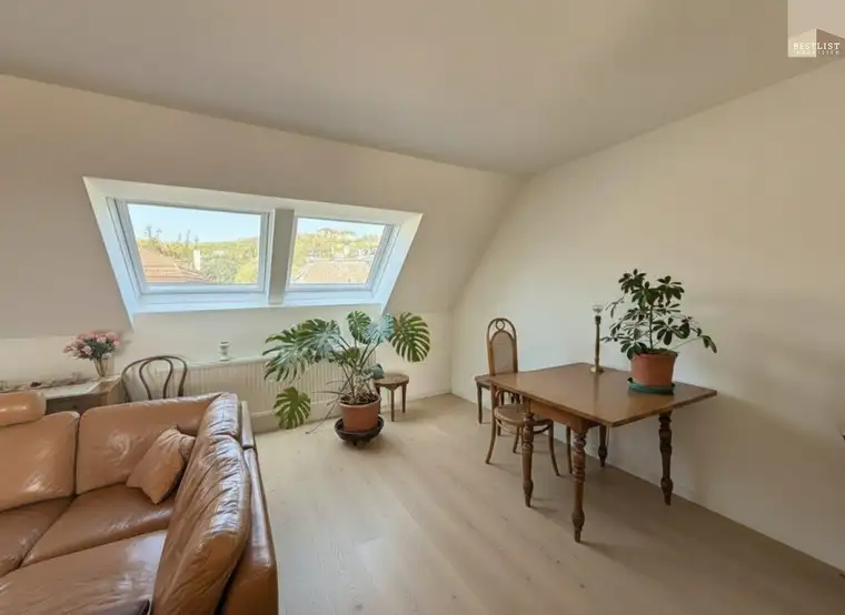 4 Zimmer Dachterrassentraum mit atemberaubendem Blick über Wien