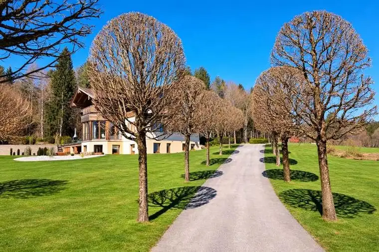 Mag. Alexander Alfred Tischler, ATV Immobilien GmbH