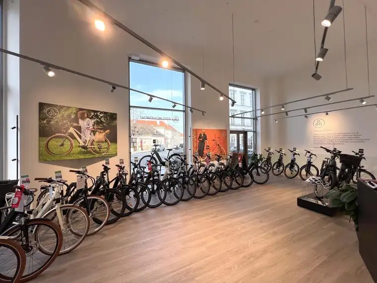Modernes Loft-Geschäftslokal vis-a-vis Unteres Belvedere