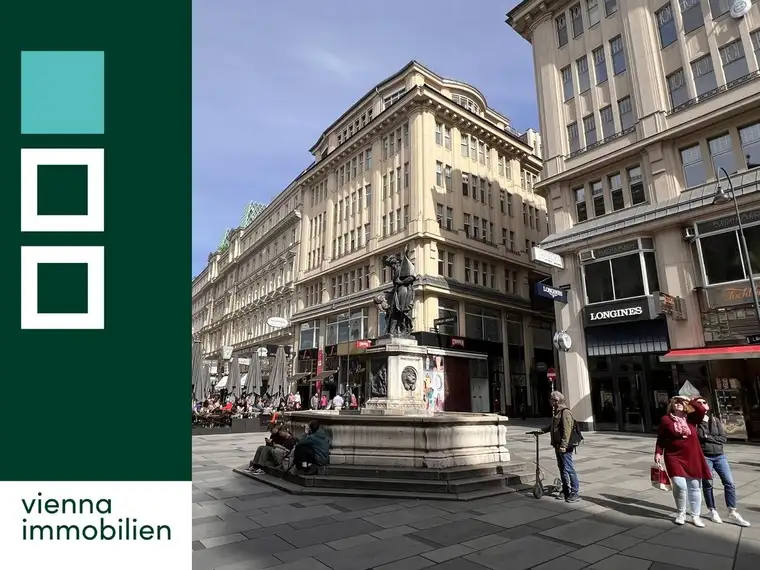 Großzügiges Büro im Trattnerhof