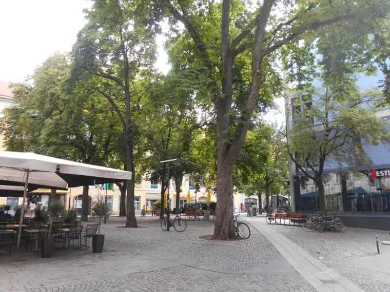Altstadt nahe Färberplatz Geschäftslokal vielseitig nutzbar