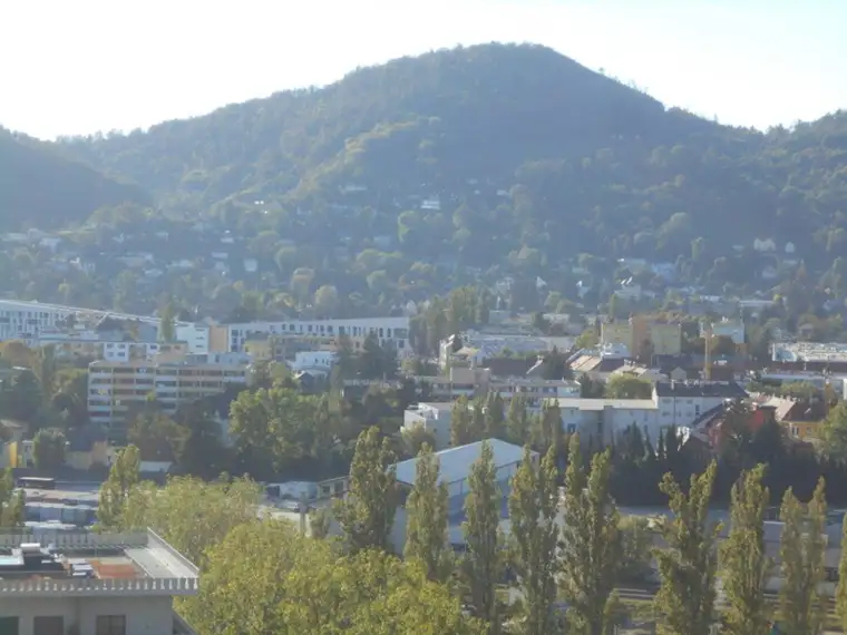 Q5 am PARK Traumblick sonnige 2ZI mit 7m² West/ Balkon