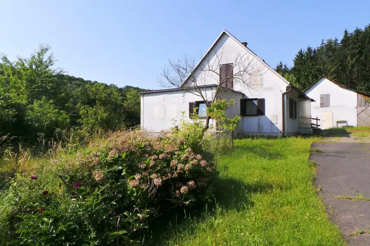 EINZELLAGE - Südoststeirisches Hügelland LW mit Scheibengrund und LANDHAUS 31.998m²